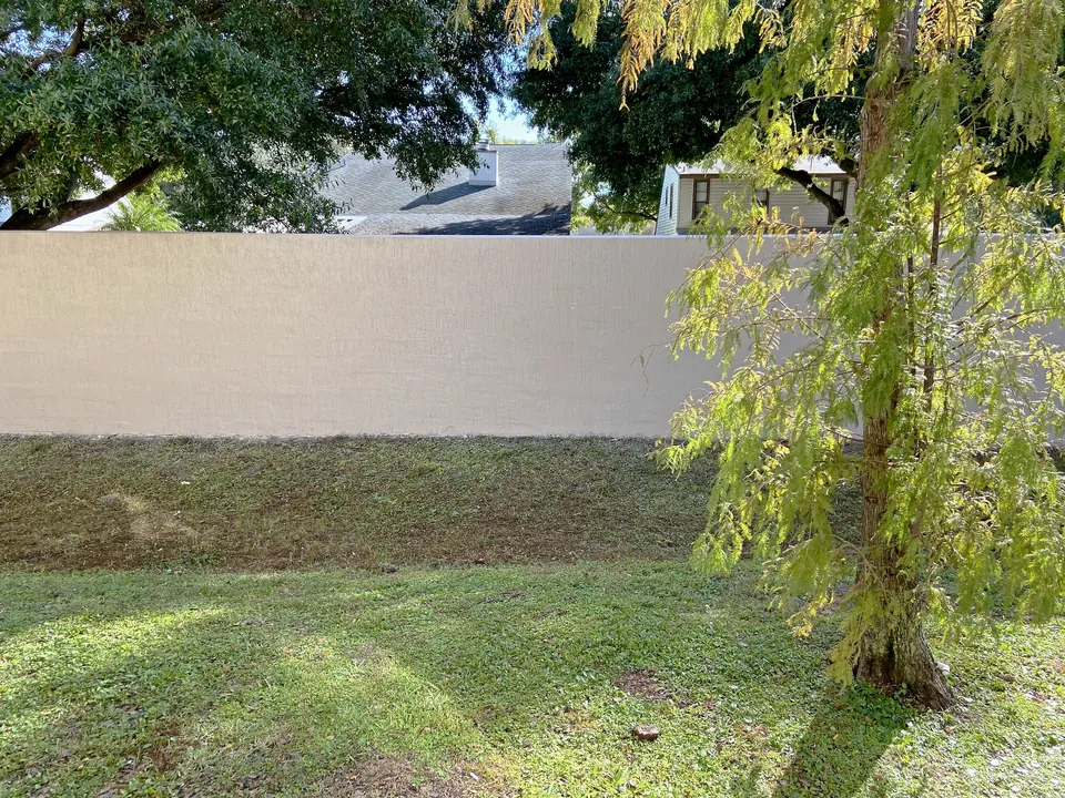 Painted perimeter wall behind the trees